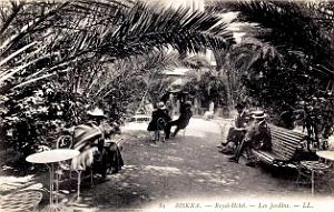 Biskra - Royal-Hotel - Jardins